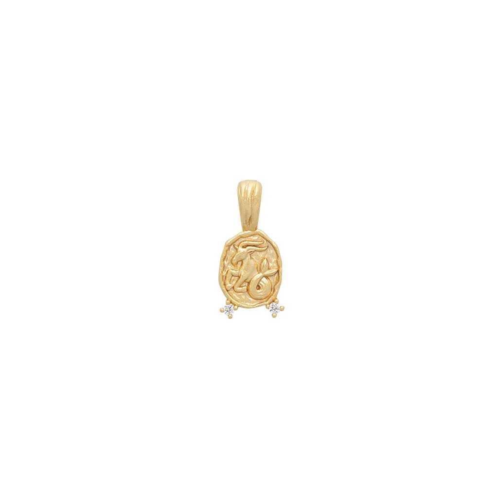 Zodiac Amulet Pendant - Image 16