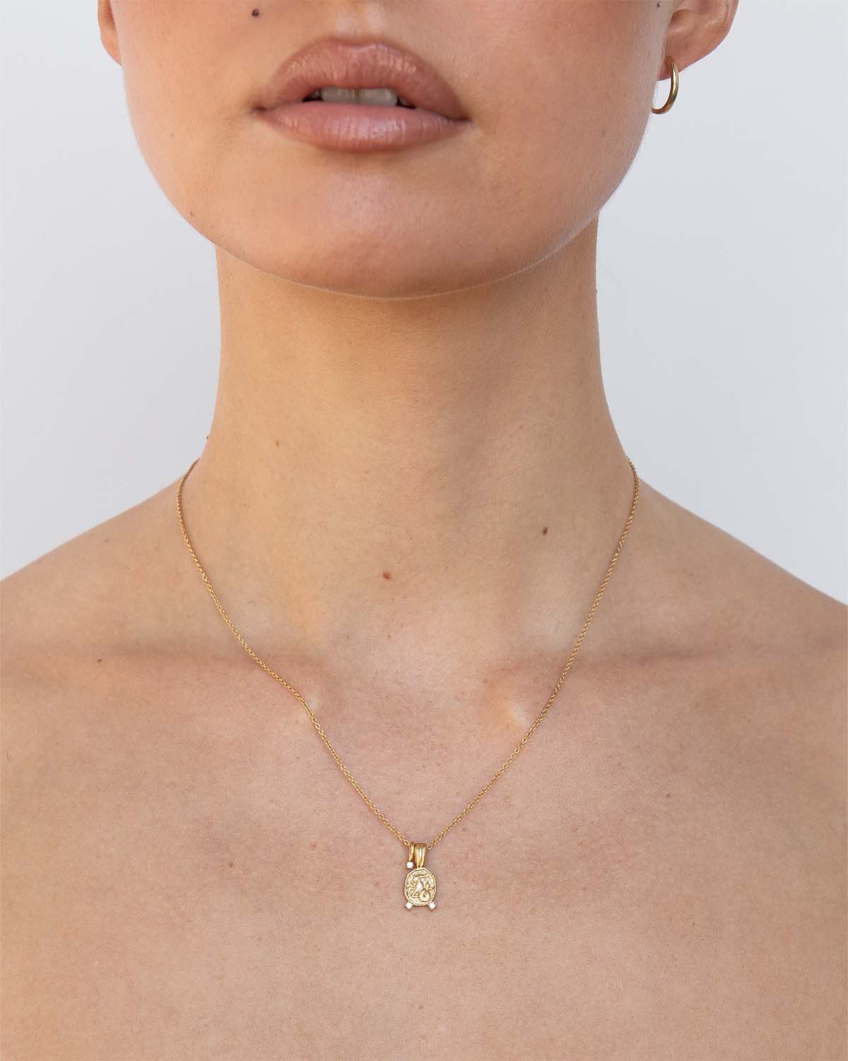 Capricorn Amulet Necklace - Image 4