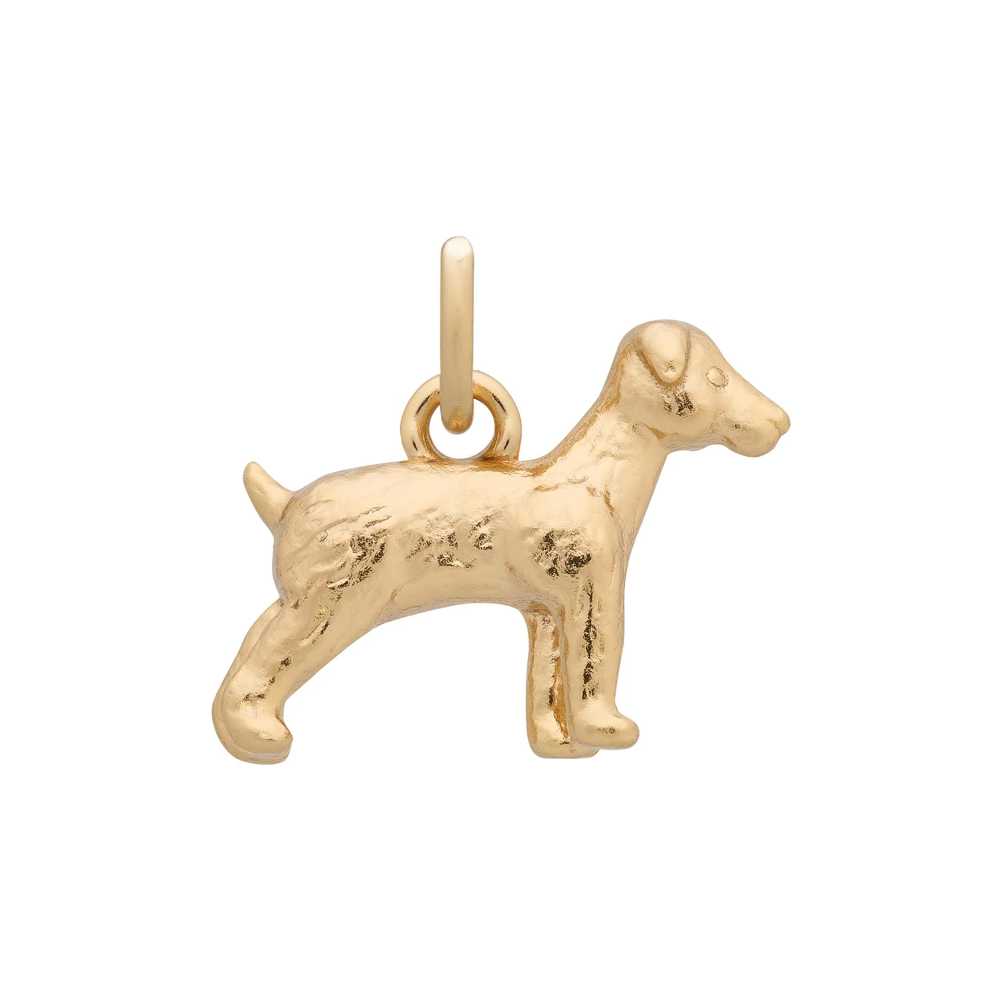 Dog Charm