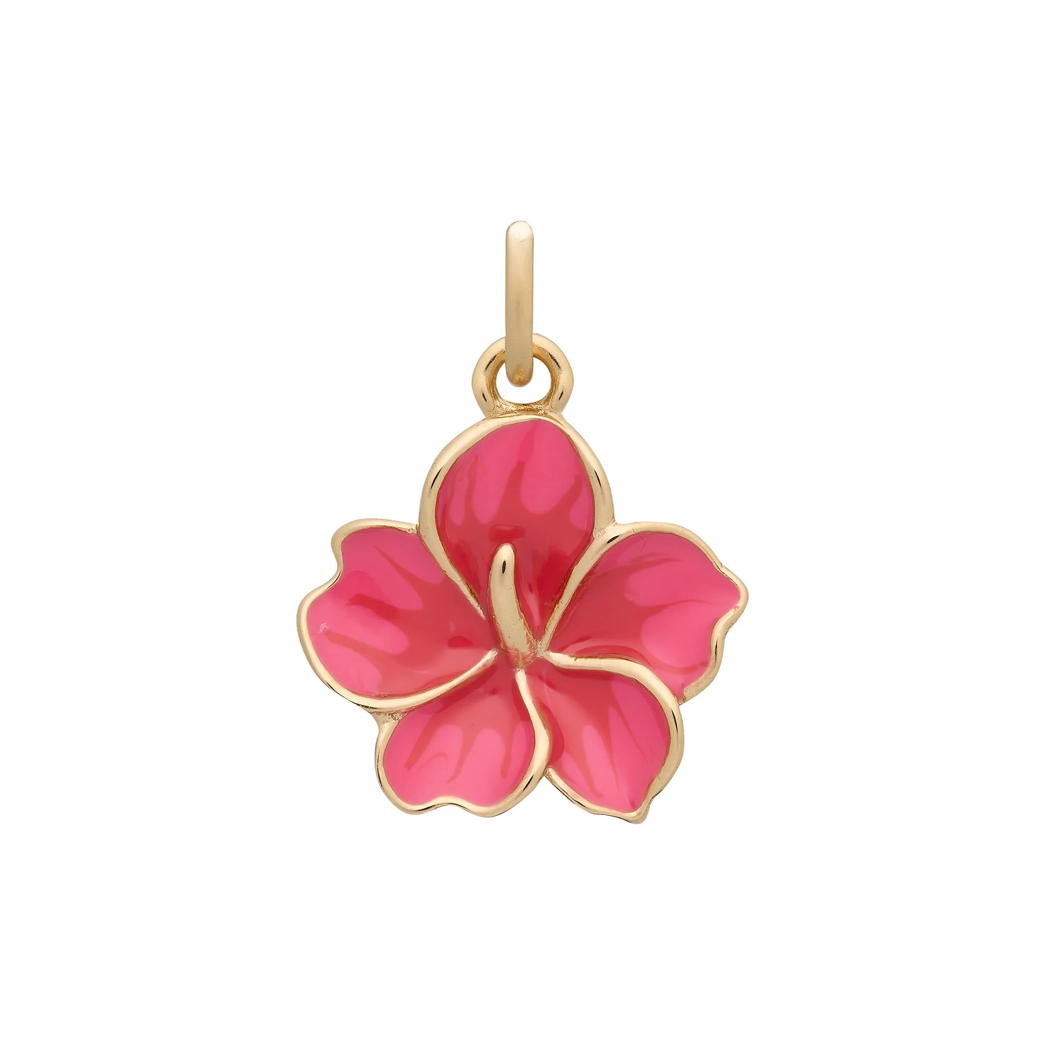 Hibiscus Charm
