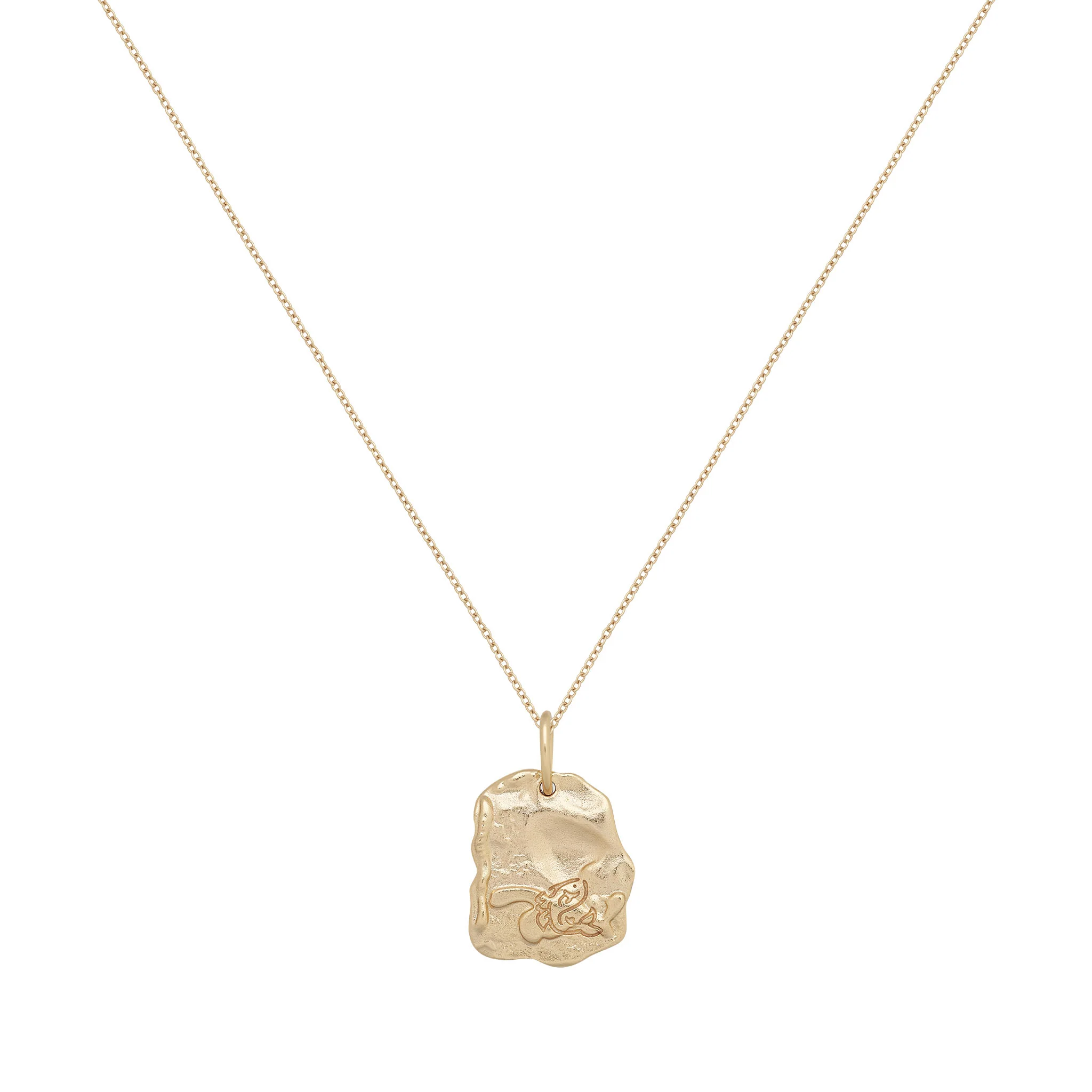 Pisces Astrology Necklace
