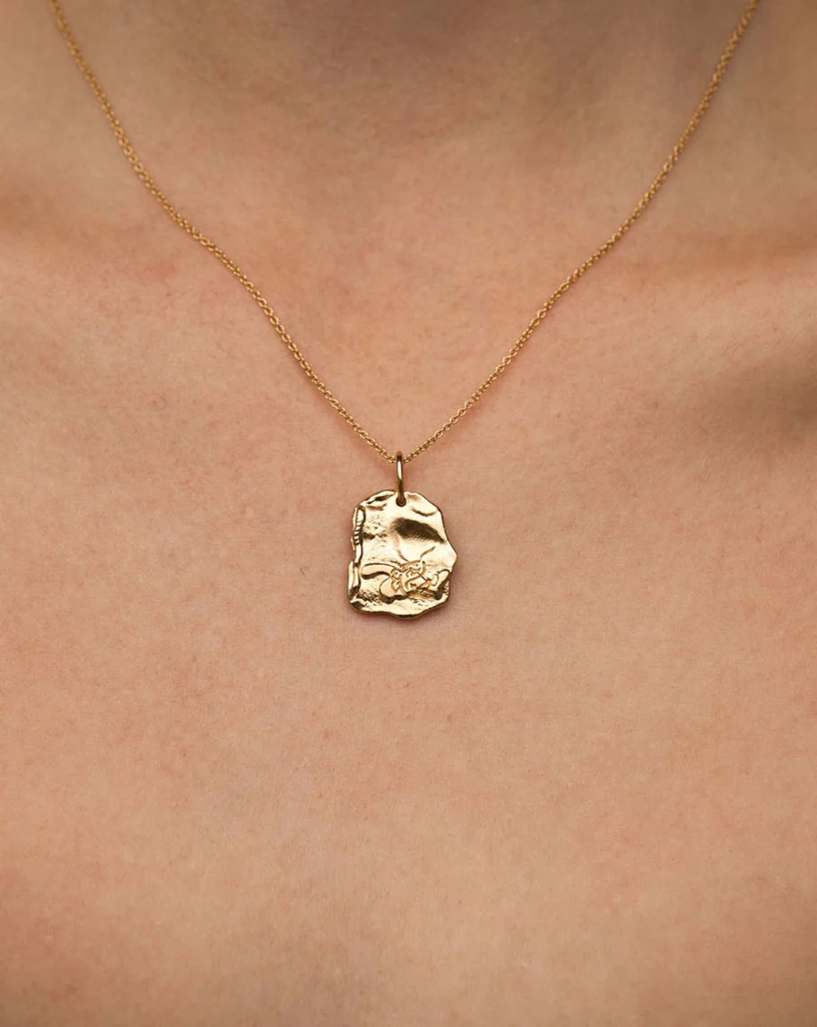 Pisces Astrology Necklace - Image 2